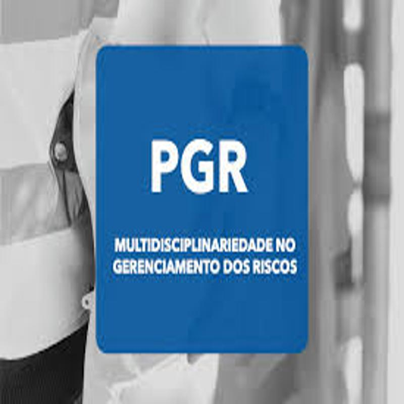 Pgr trabalhista Pgr trabalhista