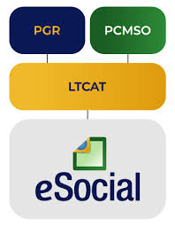 Programa de gerenciamento de riscos Programa de gerenciamento de riscos